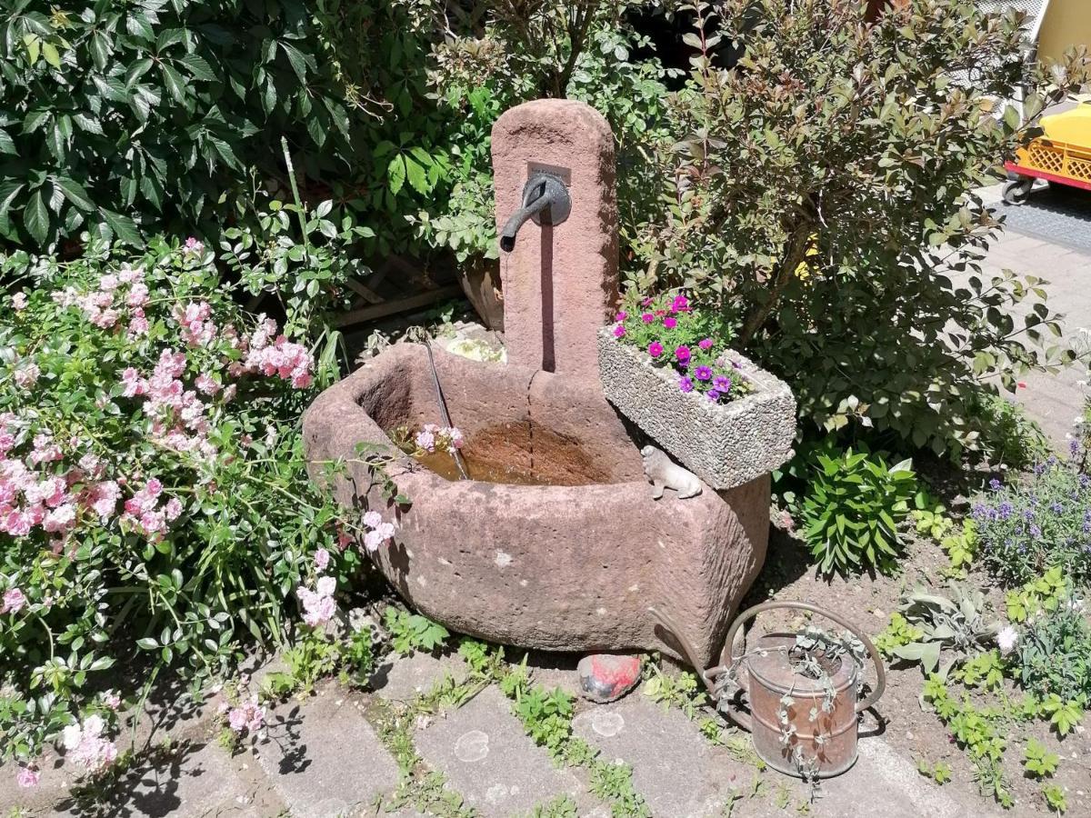 Jogis Ferienwohnungen Freiburg im Breisgau Exterior foto