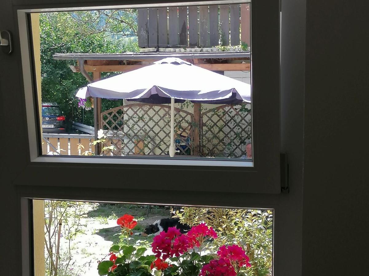 Jogis Ferienwohnungen Freiburg im Breisgau Exterior foto